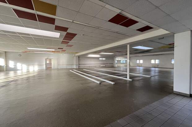 Gewerbeobjekt mieten in 2351 Wiener Neudorf (Bild 5)
