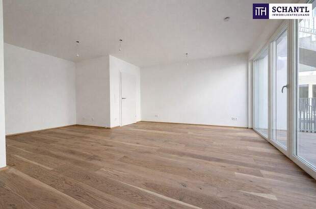 Terrassenwohnung kaufen in 2514 Traiskirchen (Bild 1)