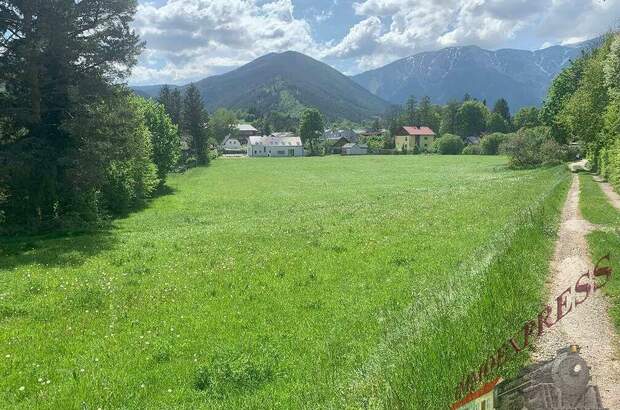 Grundstück kaufen in 2734 Puchberg (Bild 3)