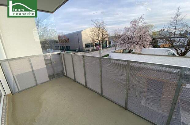 Terrassenwohnung mieten in 2700 Wr. Neustadt (Bild 5)