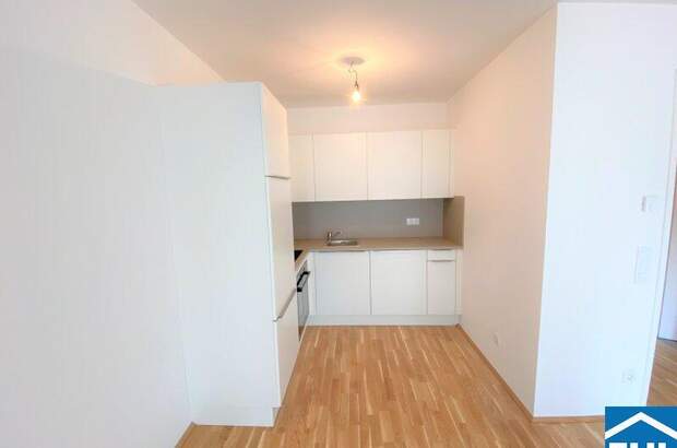 Terrassenwohnung mieten in 1100 Wien (Bild 2)