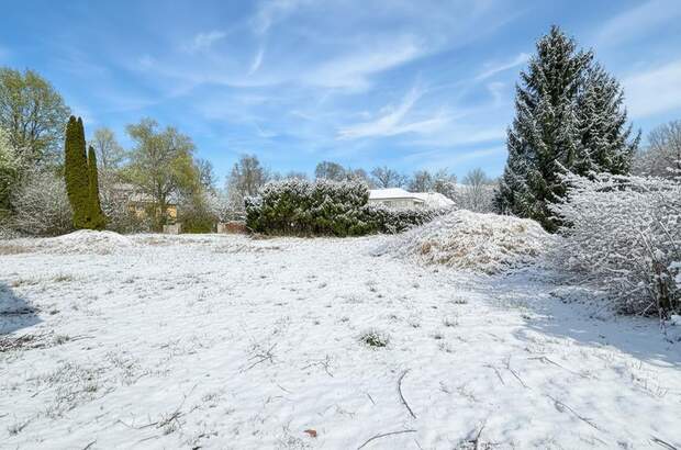 Grundstück kaufen in 5081 Anif (Bild 5)