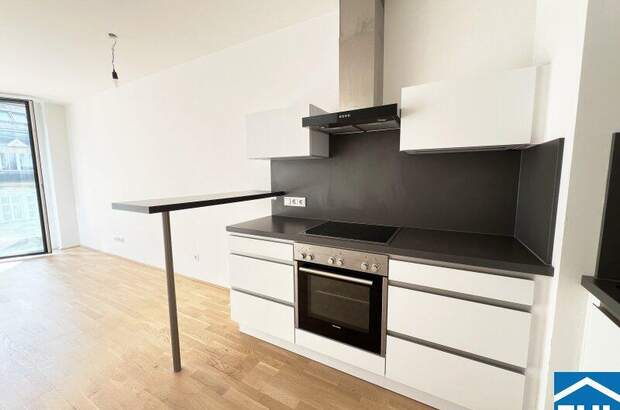 Terrassenwohnung kaufen in 4020 Linz (Bild 4)