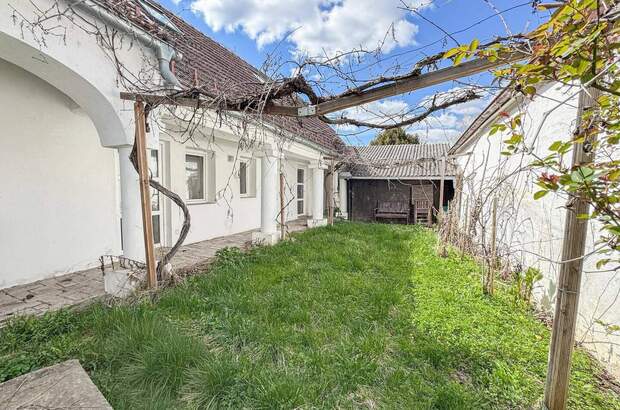Haus kaufen in 2153 Stronsdorf