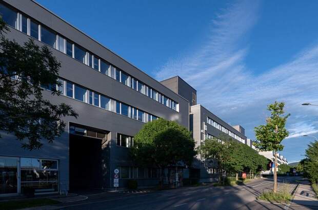 Gewerbeobjekt mieten in 2345 Brunn (Bild 2)