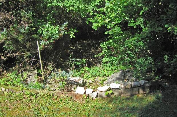 Einfamilienhaus kaufen in 2534 Alland (Bild 2)