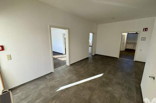 Gewerbeobjekt mieten in 8112 Gratwein (Bild 3)
