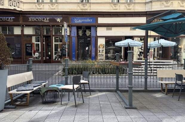 Gewerbeobjekt mieten in 1090 Wien (Bild 3)