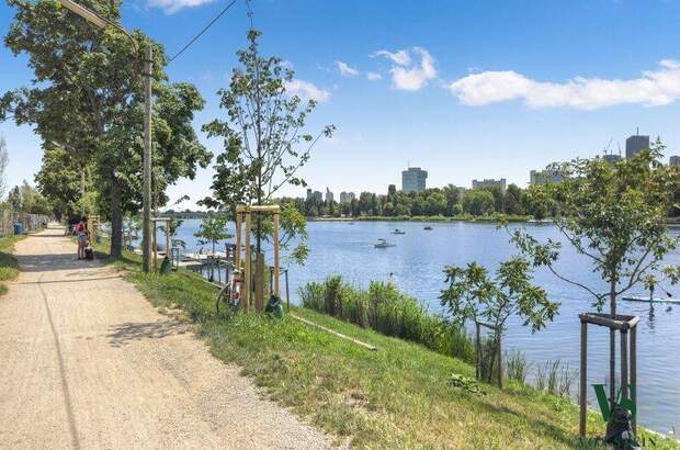 Terrassenwohnung mieten in 1210 Wien (Bild 5)