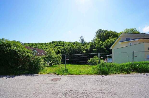 Grundstück kaufen in 2384 Breitenfurt (Bild 3)