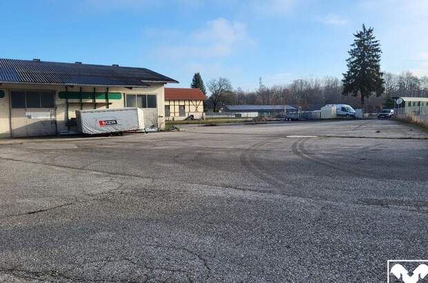 Gewerbeobjekt kaufen in 4680 Haag (Bild 4)