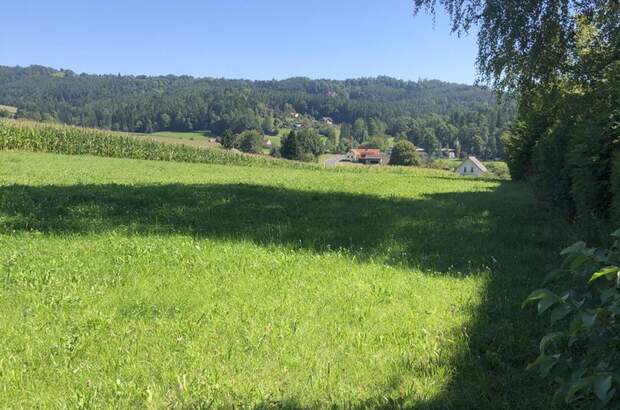 Grundstück kaufen in 8045 Weinitzen (Bild 4)