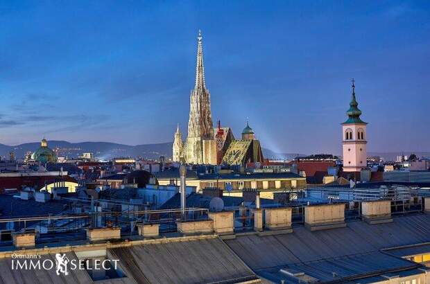 Terrassenwohnung kaufen in 1010 Wien (Bild 1)