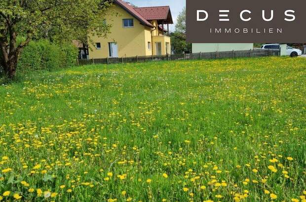 Grundstück kaufen in 2392 Grub (Bild 1)