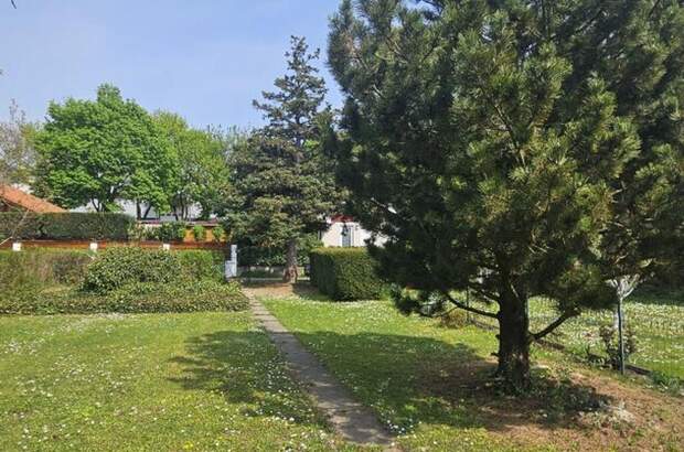 Grundstück kaufen in 2103 Langenzersdorf (Bild 1)