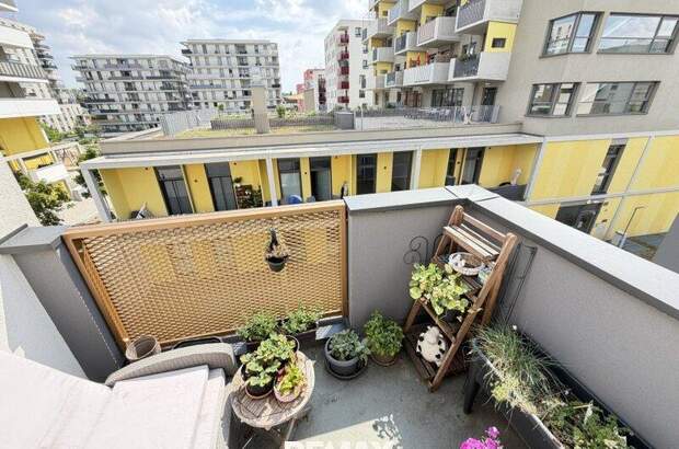 Terrassenwohnung kaufen in 1220 Wien (Bild 5)