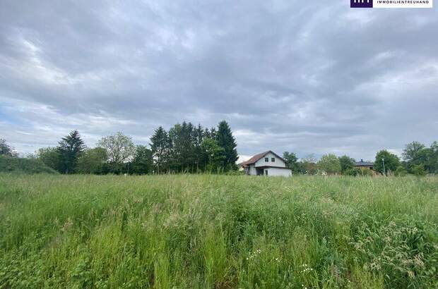 Grundstück kaufen in 7564 Dobersdorf (Bild 3)