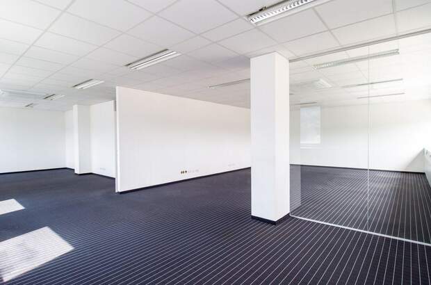 Gewerbeobjekt mieten in 4600 Thalheim (Bild 4)