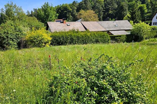 Grundstück kaufen in 8045 Graz (Bild 1)