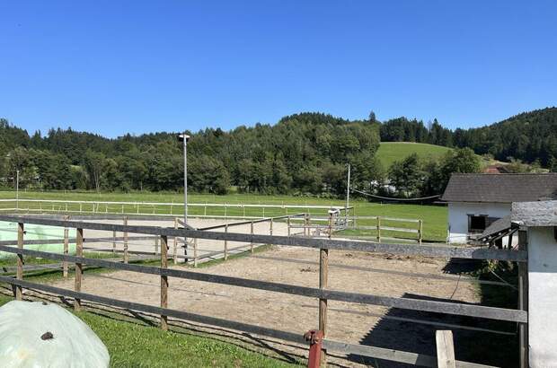Gewerbeobjekt kaufen in 8570 Voitsberg (Bild 5)