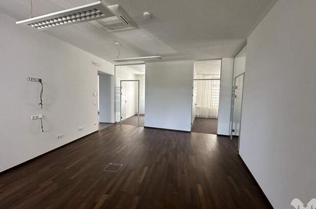 Gewerbeobjekt mieten in 8063 Eggersdorf (Bild 4)