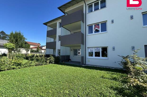 Wohnung kaufen in 4551 Ried (Bild 1)
