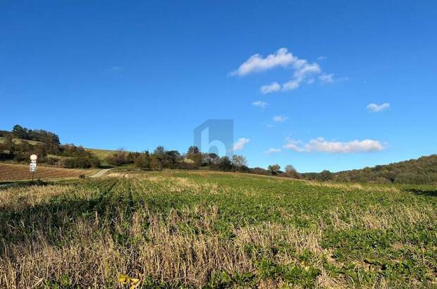 Grundstück kaufen in 3443 Sieghartskirchen (Bild 2)