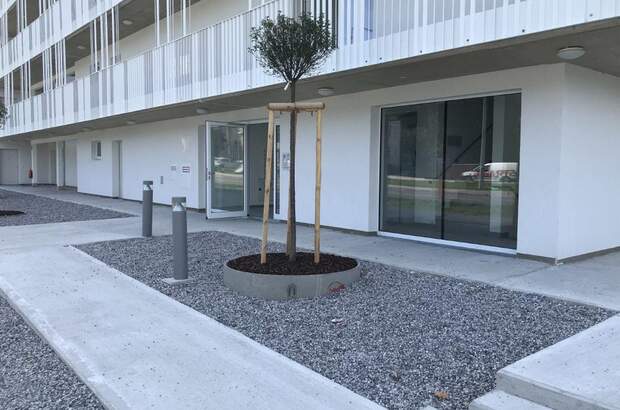 Wohnung mieten in 3100 St. Pölten (Bild 4)