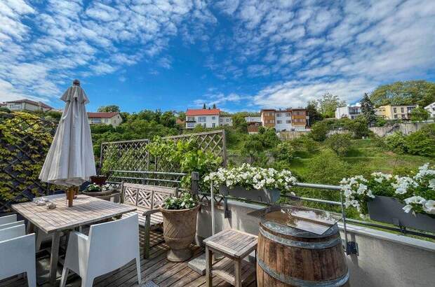 Terrassenwohnung kaufen in 3500 Krems (Bild 1)