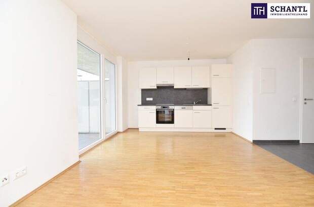Terrassenwohnung mieten in 8020 Graz (Bild 1)