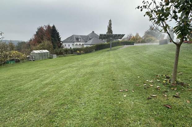 Grundstück kaufen in 4221 Steyregg (Bild 3)