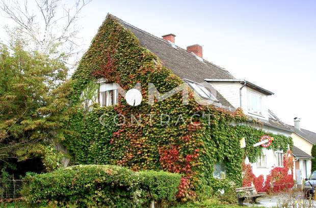 Einfamilienhaus kaufen in 7564 Dobersdorf (Bild 1)