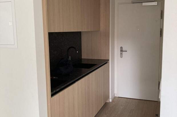 Mietwohnung in 5020 Salzburg (Bild 3)