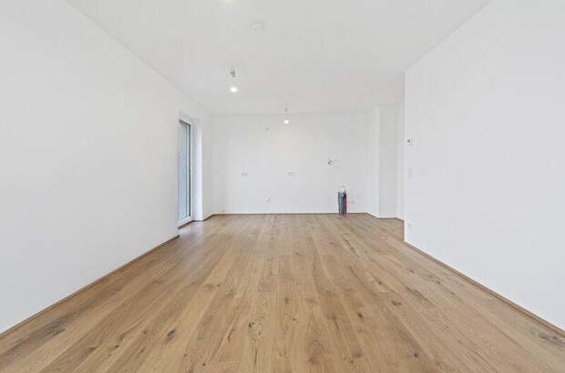 Terrassenwohnung kaufen in 2540 Bad Vöslau (Bild 3)