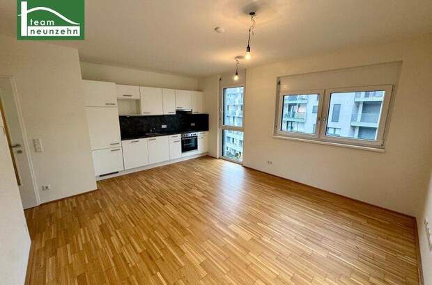 Terrassenwohnung mieten in 1110 Wien (Bild 3)