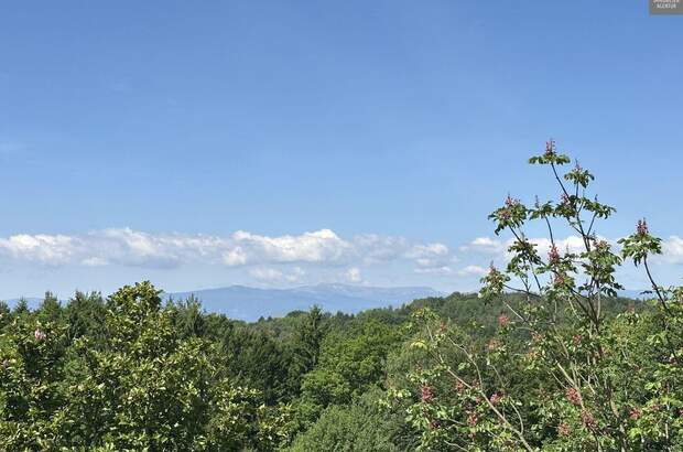 Haus kaufen in 8444 Sankt Andrä (Bild 3)