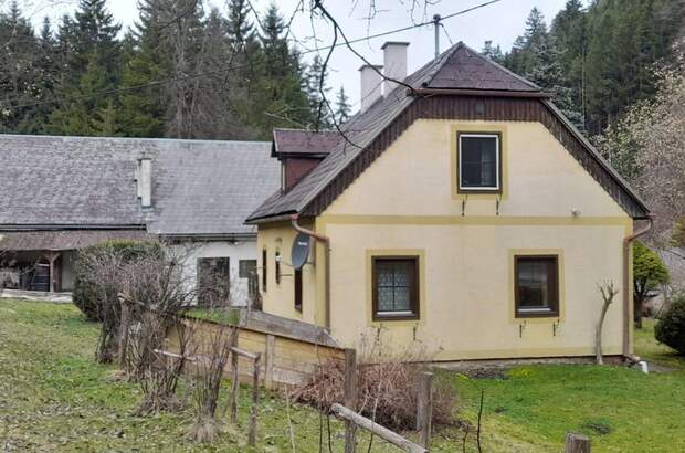 Einfamilienhaus kaufen in 8903 Lassing (Bild 4)