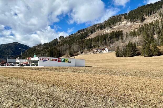 Gewerbeobjekt kaufen in 8850 Sankt Egidi (Bild 3)