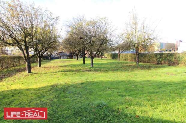 Grundstück mieten in 4030 Linz