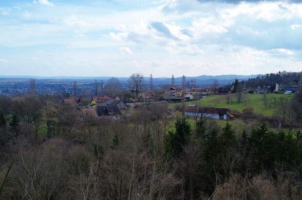 Haus kaufen in 8430 Leibnitz (Bild 4)