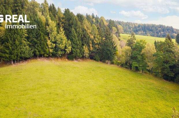 Grundstück kaufen in 8954 St. Martin (Bild 2)