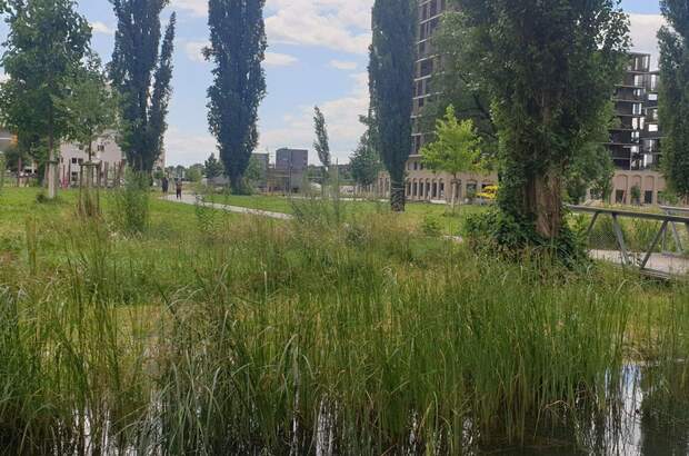 Mietwohnung in 8020 Graz (Bild 3)