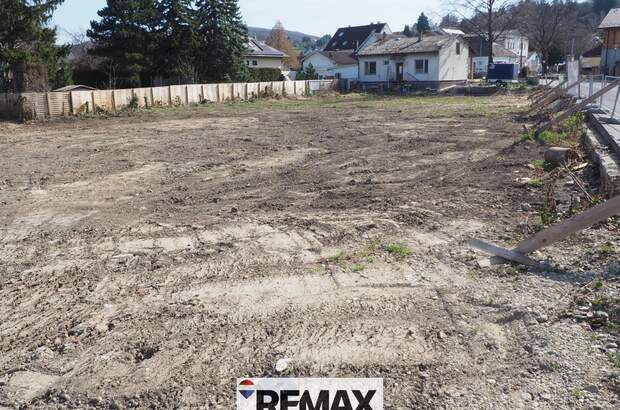 Grundstück kaufen in 3433 Königstetten (Bild 4)