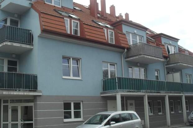 Terrassenwohnung mieten in 2721 Bad Fischau (Bild 1)