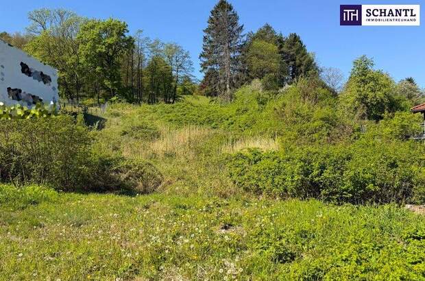 Grundstück kaufen in 3400 Klosterneuburg (Bild 3)