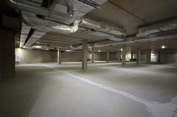 Gewerbeobjekt mieten in 1210 Wien (Bild 2)