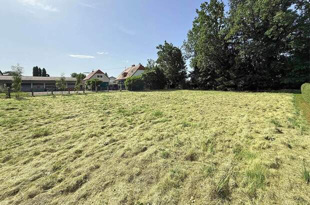 Grundstück kaufen in 5121 Ostermiething (Bild 5)