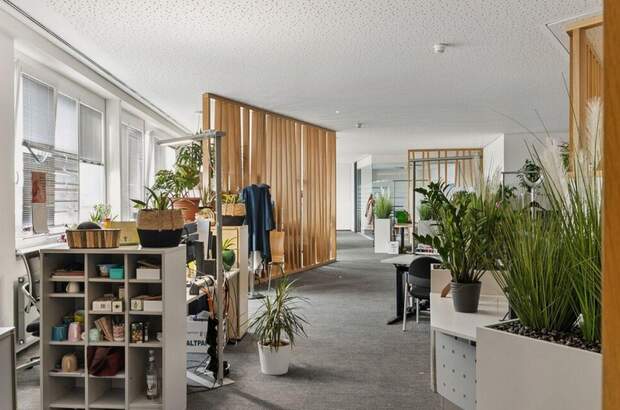 Gewerbeobjekt mieten in 5071 Himmelreich (Bild 3)