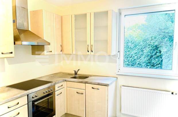 Büro / Praxis kaufen in 1190 Wien (Bild 4)