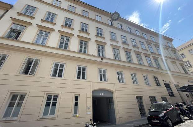 Altbauwohnung kaufen in 1090 Wien (Bild 1)